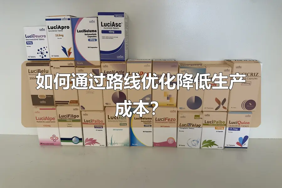 如何通过路线优化降低生产成本？